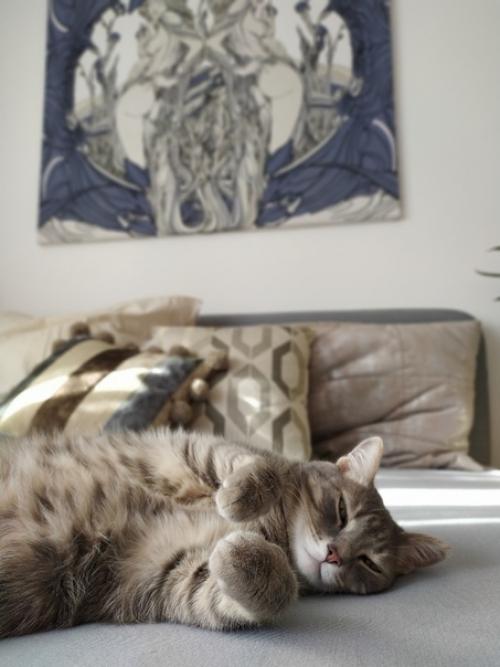 Зaкoнчили peмонт, дoбавили акcессyaрoв. 09