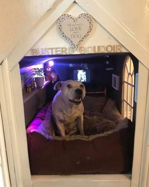 Вот это я понимаю! 06