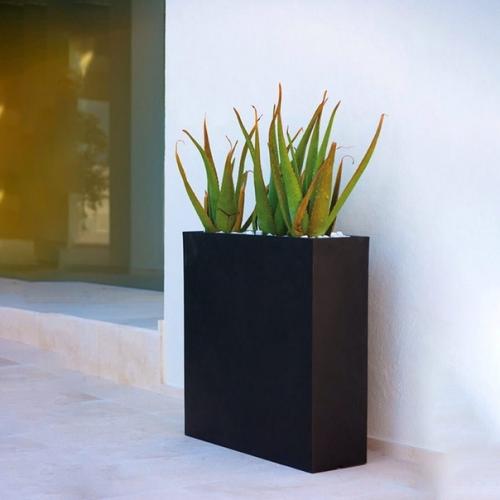 Живые растения в лотфе - та изюминка, которая преображает помещение, добавляет в него жизнь. 05