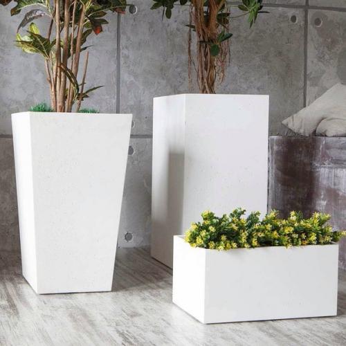 Живые растения в лотфе - та изюминка, которая преображает помещение, добавляет в него жизнь. 01