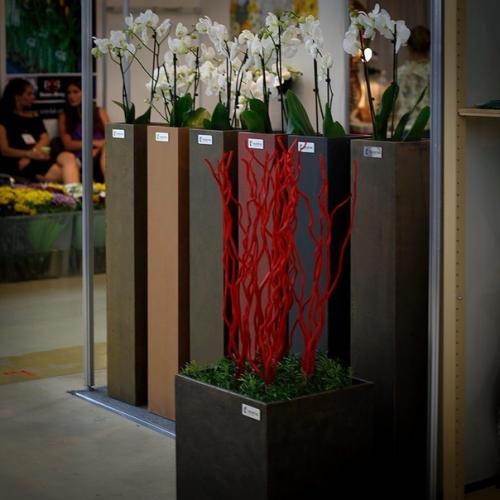 Живые растения в лотфе - та изюминка, которая преображает помещение, добавляет в него жизнь. 03