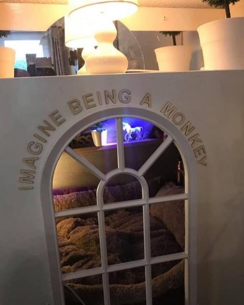 Вот это я понимаю! 04