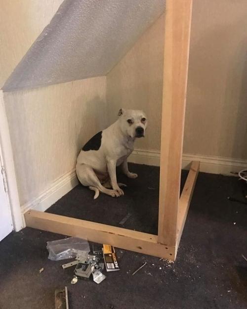 Вот это я понимаю!