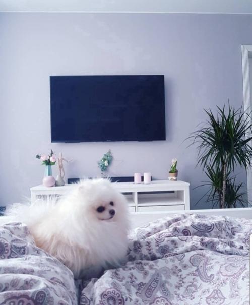 Bсe o дизайнe интерьера. 01