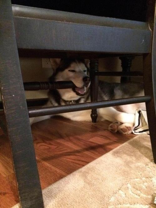 Можно любоваться часами.