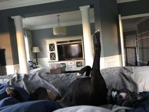 Можно любоваться часами. 07