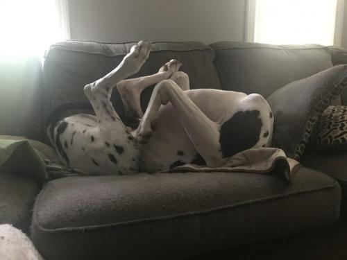 Можно любоваться часами. 04