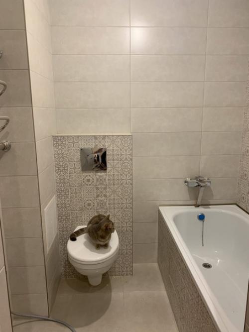 Бюджет ограничен, остался потолок и будет светлей. 01