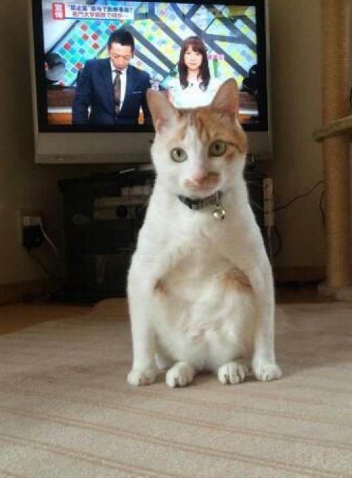 Присядем на дорожку? 05