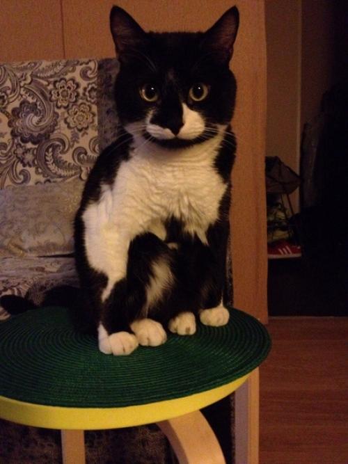 Присядем на дорожку? 08