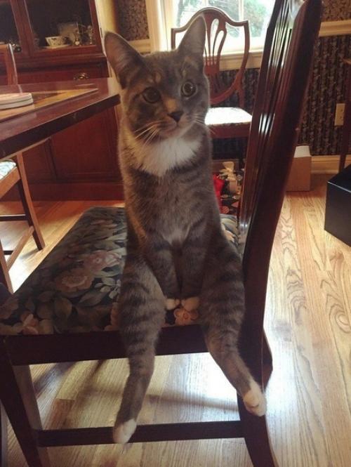 Присядем на дорожку? 01