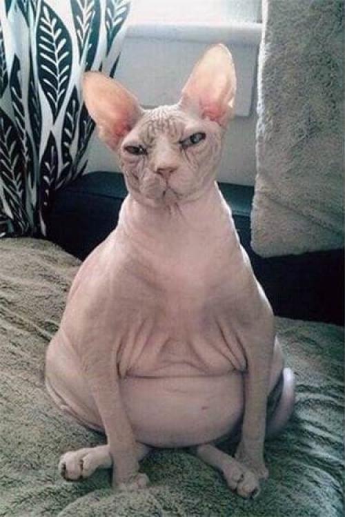 Присядем на дорожку? 03