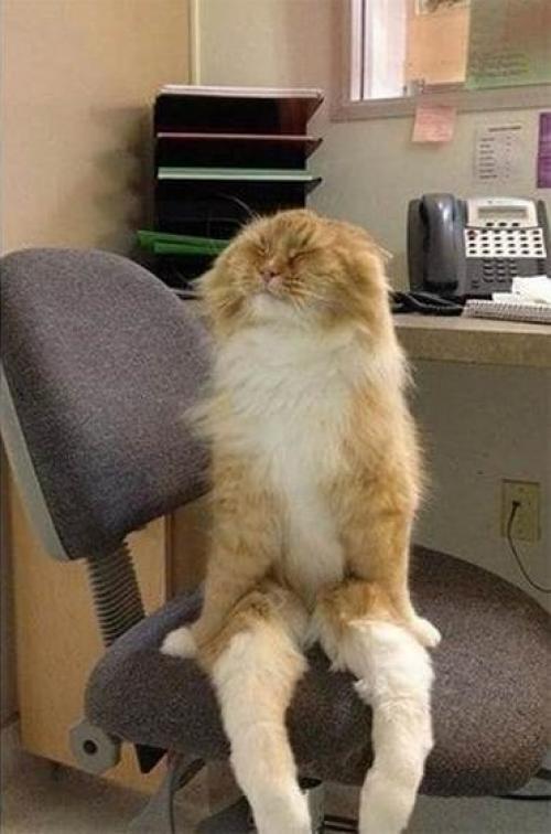 Присядем на дорожку? 06