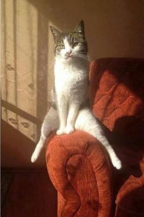 Присядем на дорожку? 02