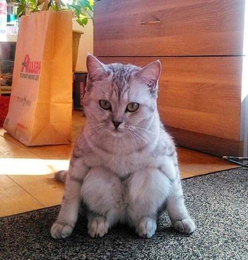 Присядем на дорожку? 04