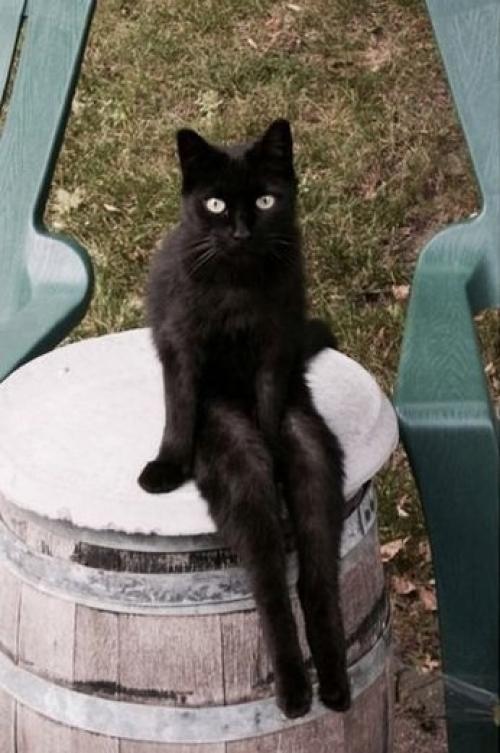 Присядем на дорожку?