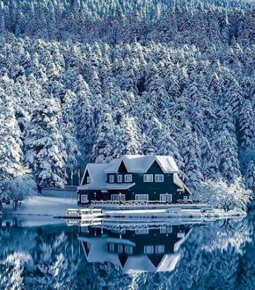 Доброе утро!  Снежного настроения и отличного дня.