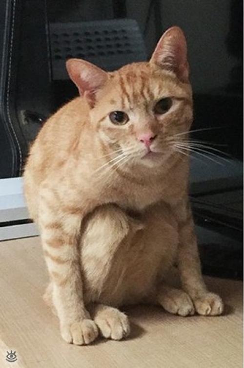 Присядем на дорожку? 07