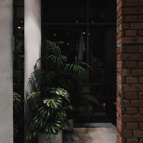 Какой вы квартиру своей мечты видите? 07