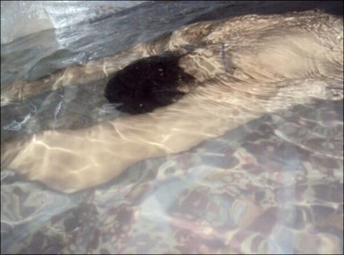 Ребята развлекаються. Хочется услышать ваше мнение. 05