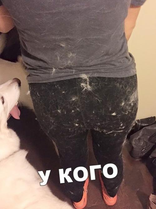 У меня кошка с собакой, но мне так не повезло. 03