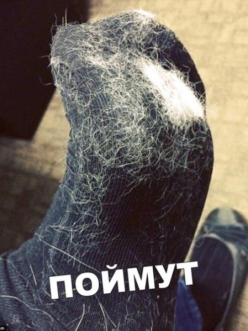 У меня кошка с собакой, но мне так не повезло.