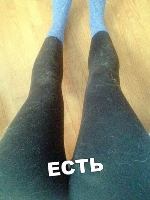 У меня кошка с собакой, но мне так не повезло. 04