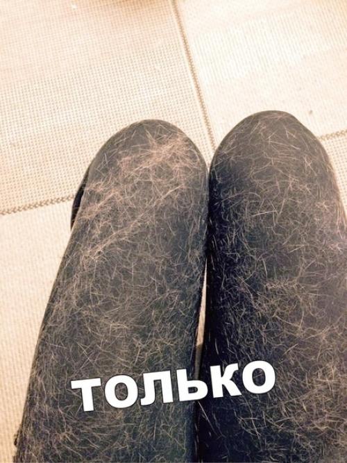 У меня кошка с собакой, но мне так не повезло. 01