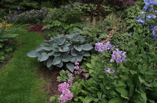 Озеленение двора частном доме. Озеленение двора: 155 фото и видео описание, как выполнить озеленение участка