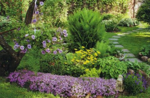 Озеленение двора частном доме. Озеленение двора: 155 фото и видео описание, как выполнить озеленение участка