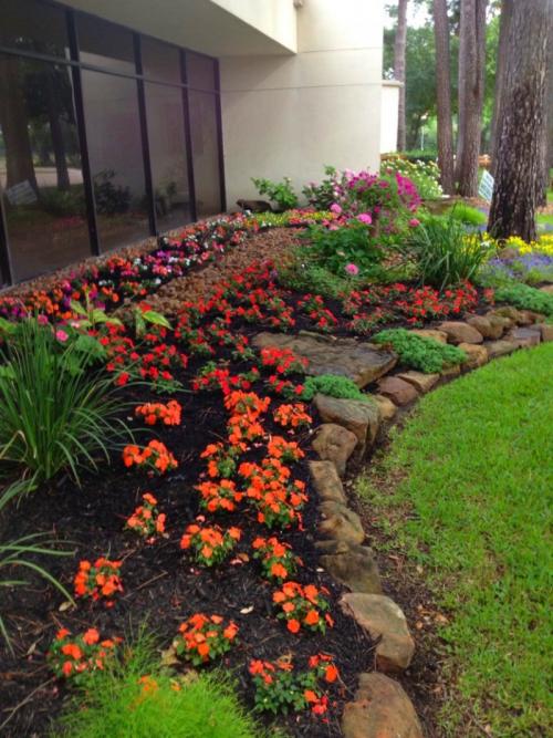 Озеленение двора частном доме. Озеленение двора: 155 фото и видео описание, как выполнить озеленение участка