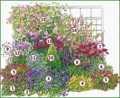 Озеленение двора частном доме. Озеленение двора: 155 фото и видео описание, как выполнить озеленение участка