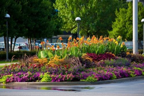 Озеленение двора частном доме. Озеленение двора: 155 фото и видео описание, как выполнить озеленение участка