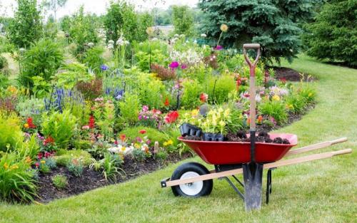 Озеленение двора частном доме. Озеленение двора: 155 фото и видео описание, как выполнить озеленение участка