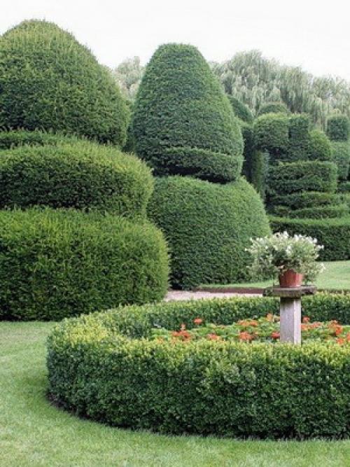 Кустарники стричь правильно, как. ОБРЕЗКА ПЛОДОВЫХ КУСТАРНИКОВ – КАК И КОГДА ПРОВОДИТЬ? 06