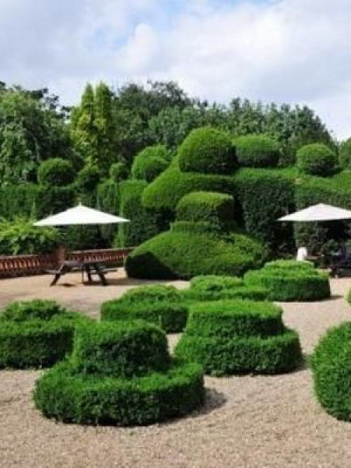 Кустарники стричь правильно, как. ОБРЕЗКА ПЛОДОВЫХ КУСТАРНИКОВ – КАК И КОГДА ПРОВОДИТЬ? 05