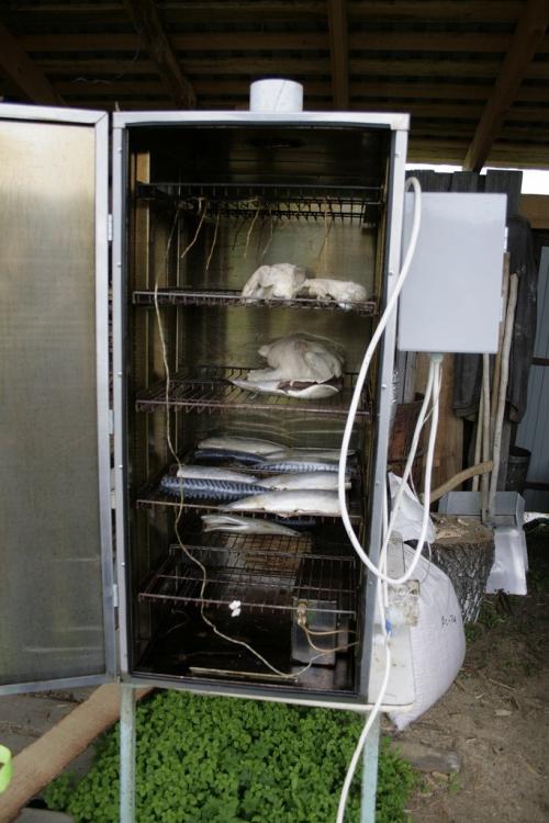 Коптильня горячего копчения своими руками. Коптильня своими руками — инструкция для начинающих. Как сделать коптильню холодного и горячего копчения?