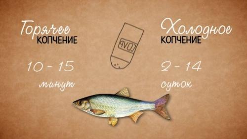 Коптильня горячего копчения своими руками. Коптильня своими руками — инструкция для начинающих. Как сделать коптильню холодного и горячего копчения?