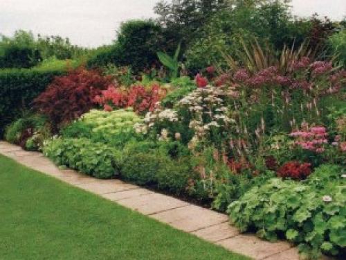 Клумбы из кустарников и многолетников. Варианты компоновки хвойного миксбордера 02 Клумбы из кустарников и многолетников. Варианты компоновки хвойного миксбордера 02