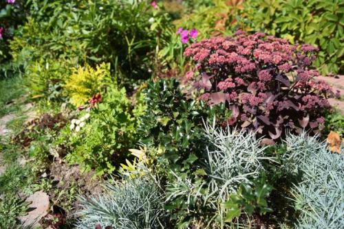 Клумбы из кустарников и многолетников. Варианты компоновки хвойного миксбордера 09 Клумбы из кустарников и многолетников. Варианты компоновки хвойного миксбордера 09