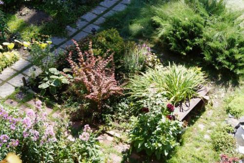 Клумбы из кустарников и многолетников. Варианты компоновки хвойного миксбордера 06 Клумбы из кустарников и многолетников. Варианты компоновки хвойного миксбордера 06