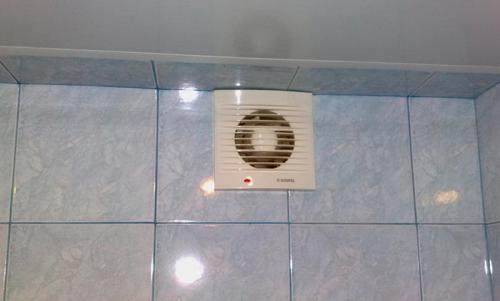 Почернел потолок в ванной. Плесень на потолке в ванной, как избавиться: эффективное устранение