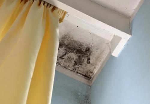 Чем покрасить потолок в ванной, чтобы не было грибка. Покраска потолка в ванной своими руками 18 Чем покрасить потолок в ванной, чтобы не было грибка. Покраска потолка в ванной своими руками 18