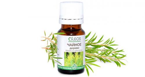 Почернел потолок в ванной. Плесень на потолке в ванной, как избавиться: эффективное устранение