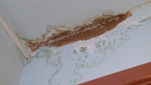 Почернел потолок в ванной. Плесень на потолке в ванной, как избавиться: эффективное устранение