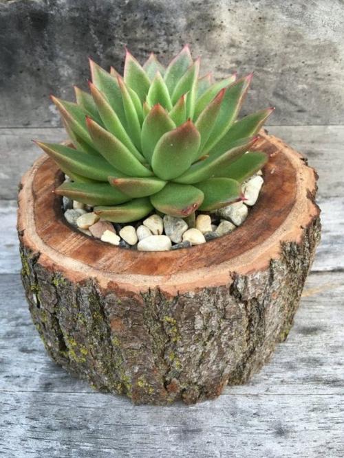 Дизайн садового участка небольшого. Лучшие идеи для дачи — дизайнерские идеи для дачи и правила обустройства дачного участка 105 фото