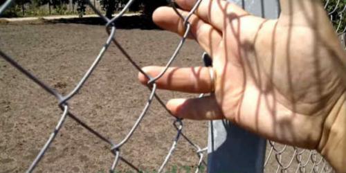 Сетка рабица ячейка. Основные размеры сетки-рабицы для забора и рекомендации по выбору