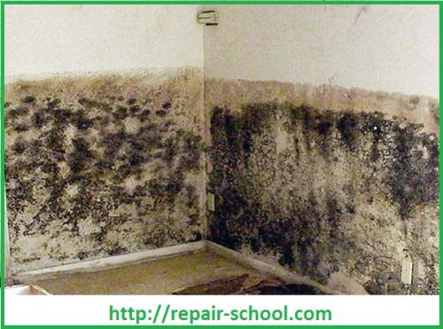 Ключевые моменты в отделке подвала частного дома. Как выполнить отделку подвала частного дома? 06 Ключевые моменты в отделке подвала частного дома. Как выполнить отделку подвала частного дома? 06