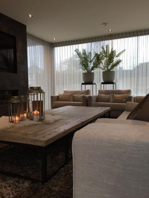 Большие растения в доме 06