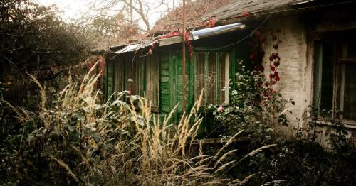 Жалоба на заброшенный участок. Законные способы борьбы с соседским участком, который зарос бурьяном